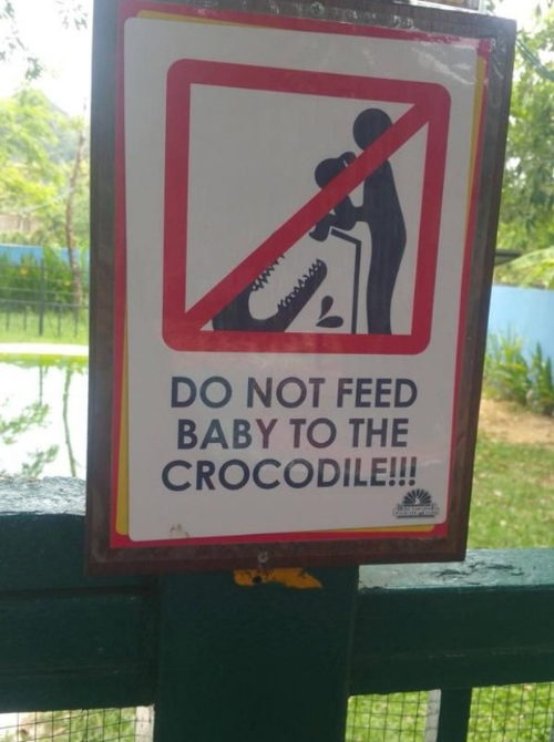 High Quality Zoo Signs- Alligator Blank Meme Template