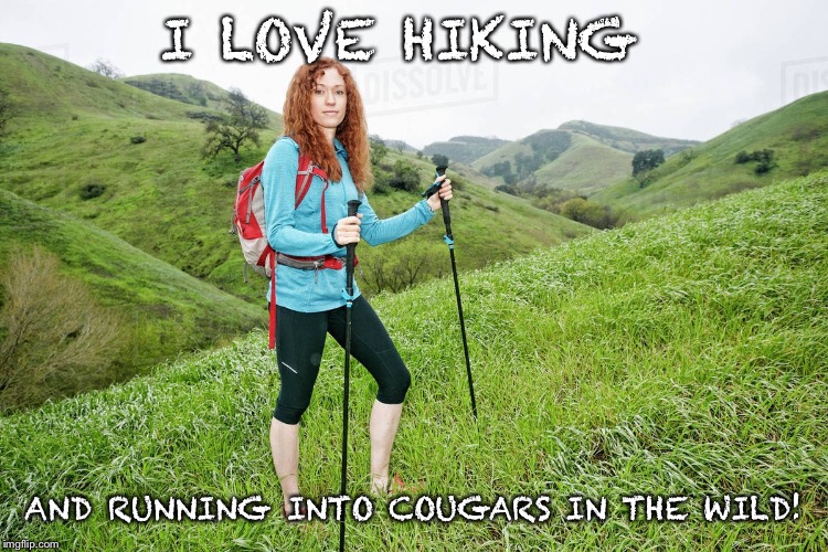 Cougars in the wild | I LOVE HIKING; AND RUNNING INTO COUGARS IN THE WILD! | image tagged in cougar,hiking | made w/ Imgflip meme maker