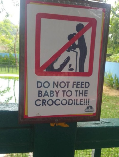 Zoo Signs: Alligator Blank Meme Template