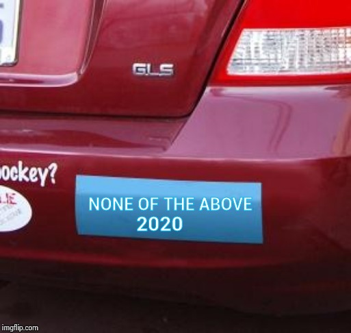 Blank bumper sticker | NONE OF THE ABOVE 2020 | image tagged in blank bumper sticker | made w/ Imgflip meme maker