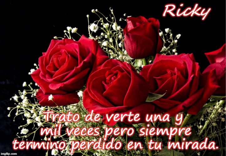 Roses | Ricky; Trato de verte una y mil veces pero siempre termino perdido en tu mirada. | image tagged in roses | made w/ Imgflip meme maker