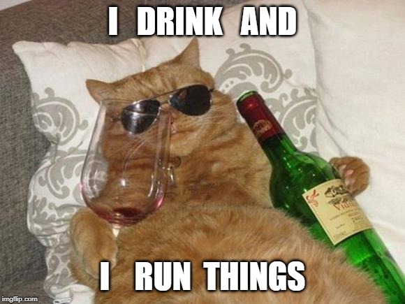 Funny Cat Birthday | I   DRINK   AND; I    RUN  THINGS | image tagged in funny cat birthday | made w/ Imgflip meme maker