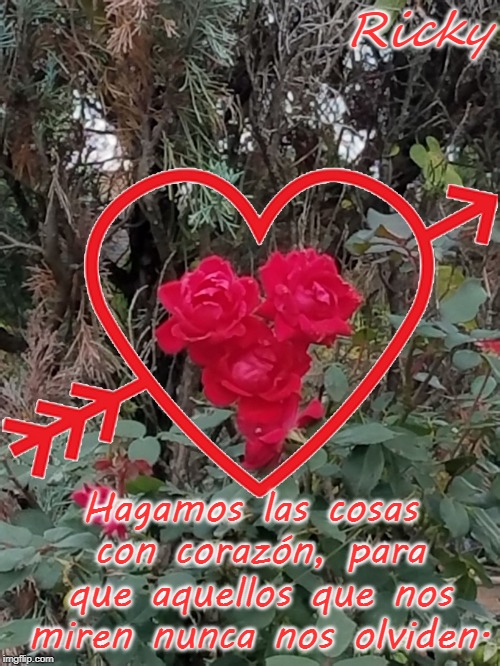 I saw these roses today | Ricky; Hagamos las cosas con corazón, para que aquellos que nos miren nunca nos olviden. | image tagged in i saw these roses today | made w/ Imgflip meme maker