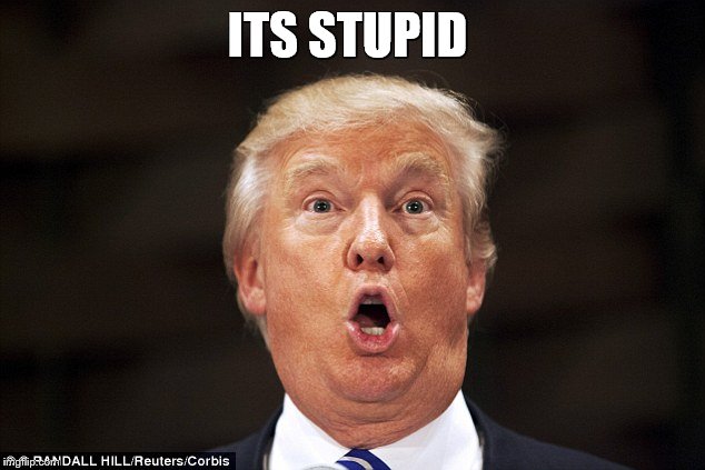Trump stupid face | ITS STUPID | image tagged in trump stupid face | made w/ Imgflip meme maker