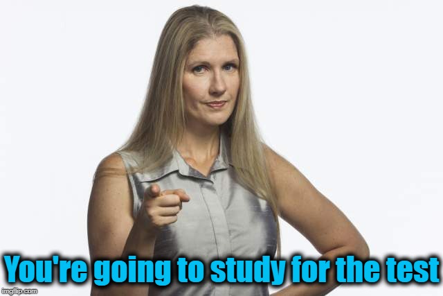 scolding mom | You're going to study for the test | image tagged in scolding mom | made w/ Imgflip meme maker