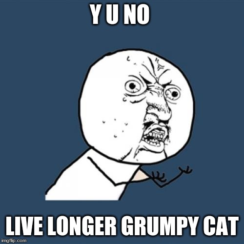 Y U No | Y U NO; LIVE LONGER GRUMPY CAT | image tagged in memes,y u no | made w/ Imgflip meme maker