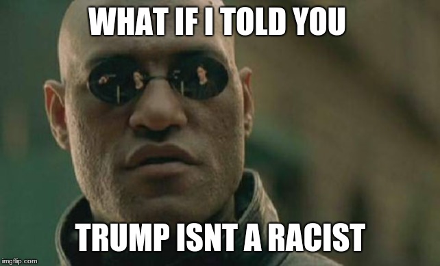Matrix Morpheus Meme | WHAT IF I TOLD YOU; TRUMP ISNT A RACIST | image tagged in memes,matrix morpheus | made w/ Imgflip meme maker