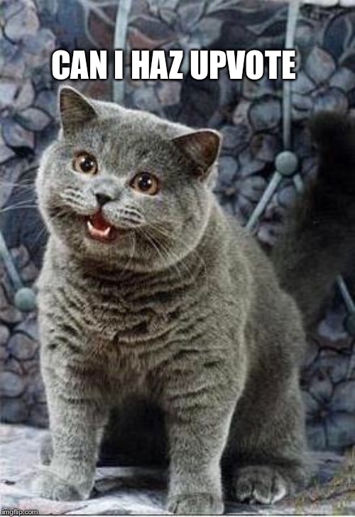 I can has cheezburger cat | CAN I HAZ UPVOTE | image tagged in i can has cheezburger cat | made w/ Imgflip meme maker