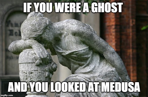 shake my head SMH | IF YOU WERE A GHOST AND YOU LOOKED AT MEDUSA | image tagged in shake my head smh | made w/ Imgflip meme maker