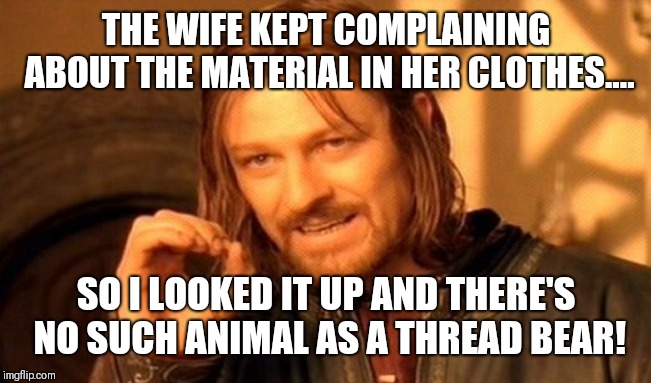 She's bearly got anything to wear.... | THE WIFE KEPT COMPLAINING ABOUT THE MATERIAL IN HER CLOTHES.... SO I LOOKED IT UP AND THERE'S NO SUCH ANIMAL AS A THREAD BEAR! | image tagged in memes,clothes,clothing,thread,hold on,odd | made w/ Imgflip meme maker