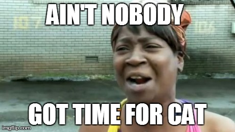 Ain't Nobody Got Time For That Meme | AIN'T NOBODY  GOT TIME FOR CAT | image tagged in memes,aint nobody got time for that | made w/ Imgflip meme maker