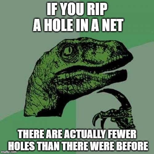 Things that make you go HMMMM | IF YOU RIP A HOLE IN A NET; THERE ARE ACTUALLY FEWER HOLES THAN THERE WERE BEFORE | image tagged in memes,philosoraptor,funny,think about it,thinking meme,imgflip | made w/ Imgflip meme maker