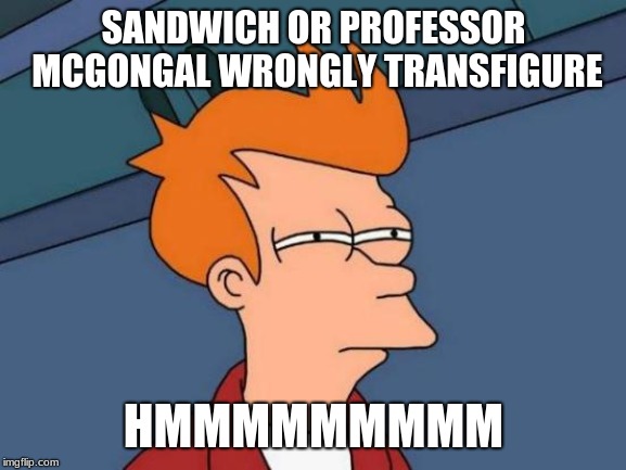 Futurama Fry |  SANDWICH OR PROFESSOR MCGONGAL WRONGLY TRANSFIGURE; HMMMMMMMMM | image tagged in memes,futurama fry | made w/ Imgflip meme maker