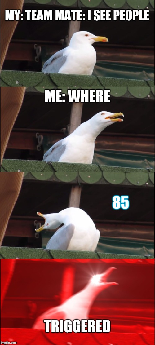 Inhaling Seagull | MY: TEAM MATE: I SEE PEOPLE; ME: WHERE; 85; TRIGGERED | image tagged in memes,inhaling seagull | made w/ Imgflip meme maker