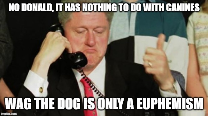 NO DONALD, IT HAS NOTHING TO DO WITH CANINES; WAG THE DOG IS ONLY A EUPHEMISM | made w/ Imgflip meme maker