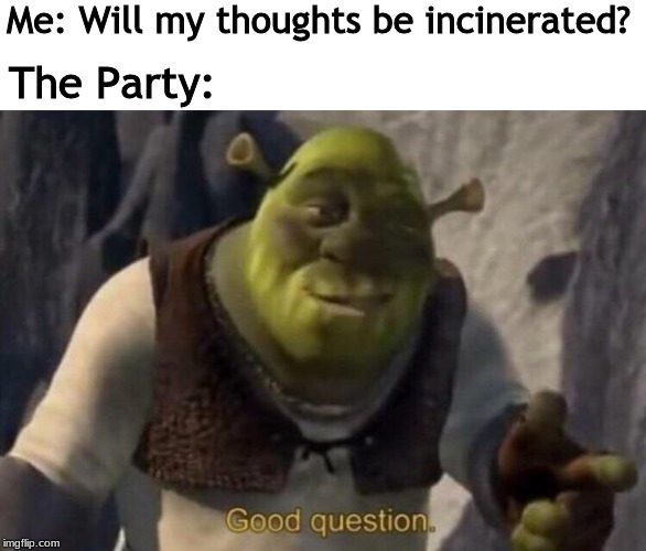 Shrek good question | Me: Will my thoughts be incinerated? The Party: | image tagged in shrek good question | made w/ Imgflip meme maker