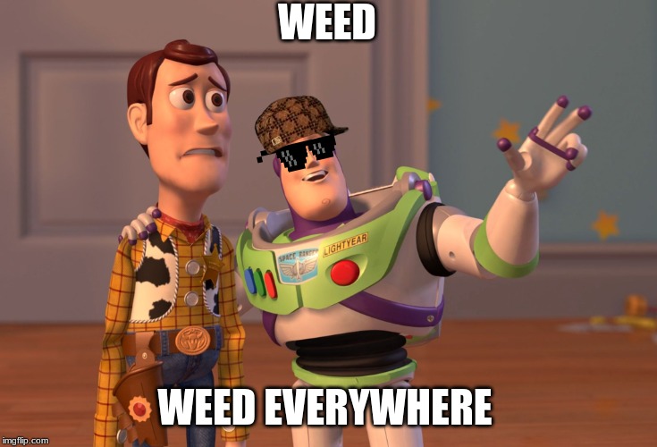 X, X Everywhere | WEED; WEED EVERYWHERE | image tagged in memes,x x everywhere | made w/ Imgflip meme maker