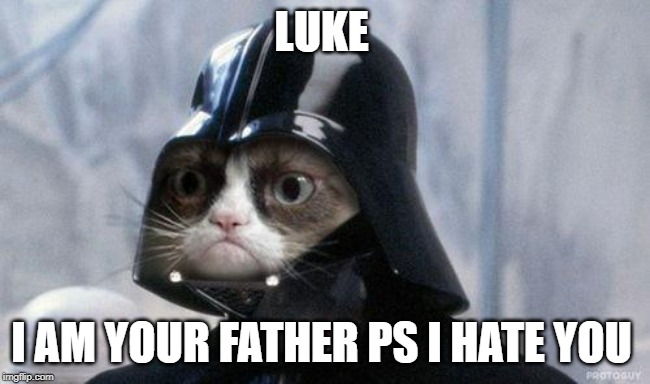 Grumpy Cat Star Wars | LUKE; I AM YOUR FATHER PS I HATE YOU | image tagged in memes,grumpy cat star wars,grumpy cat | made w/ Imgflip meme maker