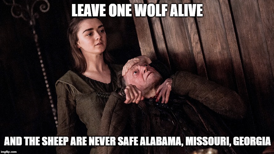 LEAVE ONE WOLF ALIVE; AND THE SHEEP ARE NEVER SAFE ALABAMA, MISSOURI, GEORGIA | image tagged in arya stark,stark,arya is a bad ass | made w/ Imgflip meme maker