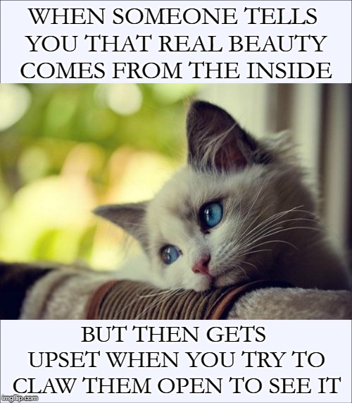 The Bloody Truth | WHEN SOMEONE TELLS YOU THAT REAL BEAUTY COMES FROM THE INSIDE; BUT THEN GETS UPSET WHEN YOU TRY TO CLAW THEM OPEN TO SEE IT | image tagged in memes,cats,beauty,inside,claws,sad | made w/ Imgflip meme maker