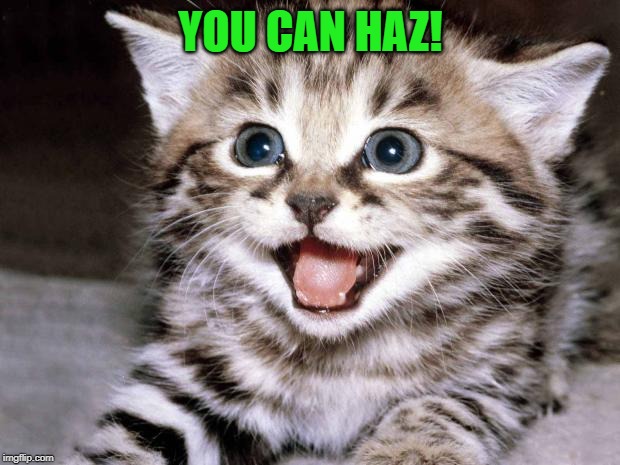 Cute Kitten Hopes | YOU CAN HAZ! | image tagged in cute kitten hopes | made w/ Imgflip meme maker