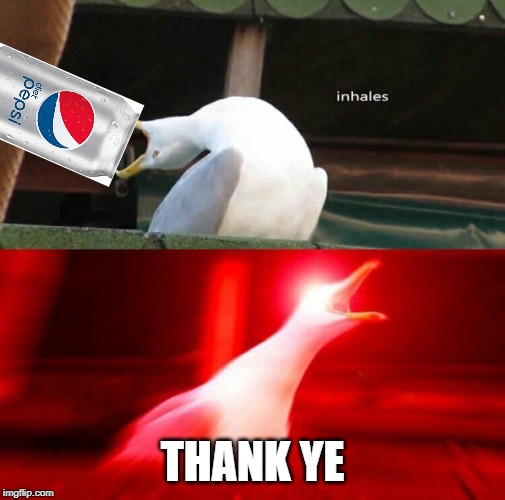 Inhaling Seagull  | THANK YE | image tagged in inhaling seagull | made w/ Imgflip meme maker