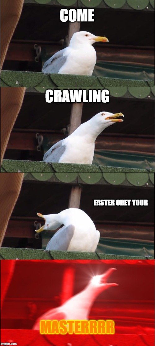 Master of Puppets baby! | COME; CRAWLING; FASTER OBEY YOUR; MASTERRRR | image tagged in memes,inhaling seagull,nixieknox | made w/ Imgflip meme maker