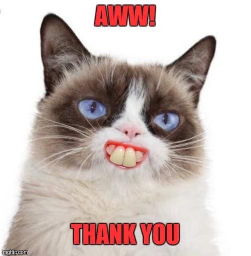 Grumpy Cat Artificially Smiles | AWW! THANK YOU | image tagged in grumpy cat artificially smiles | made w/ Imgflip meme maker