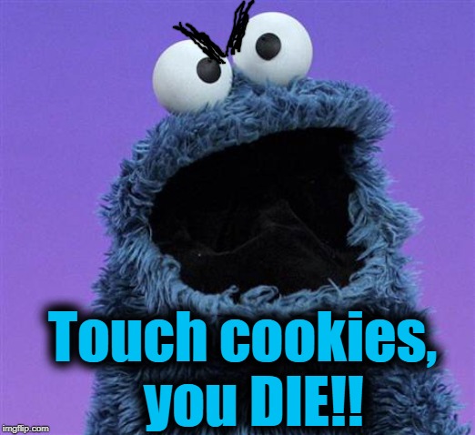 cookie monster | Touch cookies,  you DIE!! | image tagged in cookie monster | made w/ Imgflip meme maker