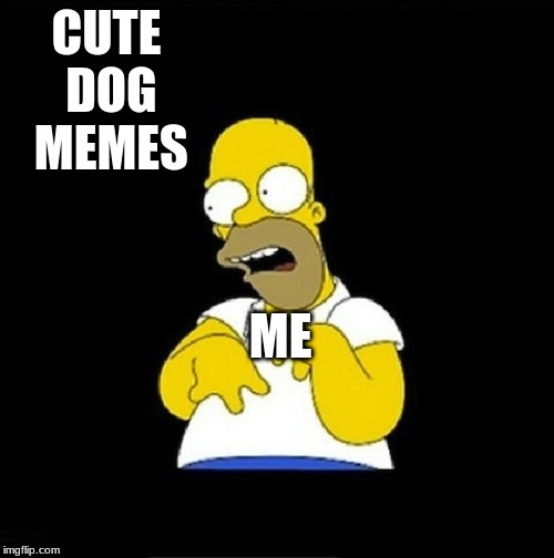 Homer Simpson Retarded | CUTE DOG MEMES; ME | image tagged in homer simpson retarded | made w/ Imgflip meme maker