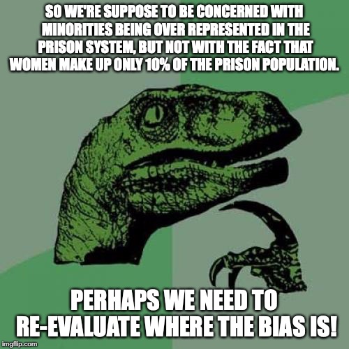 They must do nothing wrong | SO WE'RE SUPPOSE TO BE CONCERNED WITH MINORITIES BEING OVER REPRESENTED IN THE PRISON SYSTEM, BUT NOT WITH THE FACT THAT WOMEN MAKE UP ONLY 10% OF THE PRISON POPULATION. PERHAPS WE NEED TO RE-EVALUATE WHERE THE BIAS IS! | image tagged in philosoraptor,social justice,gender equality,injustice,politics,prison | made w/ Imgflip meme maker