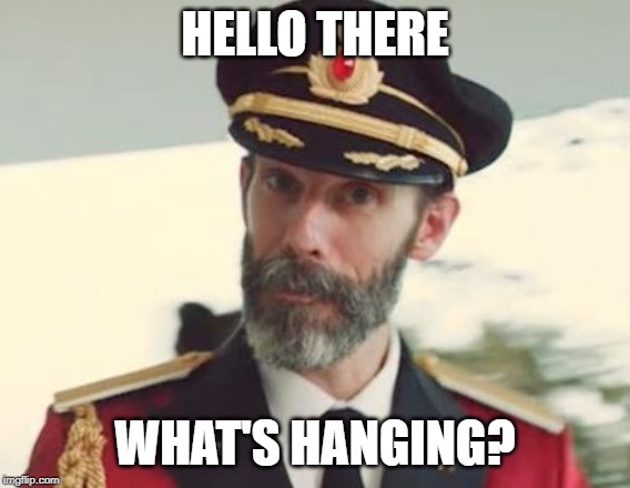 Captain Obvious | HELLO THERE WHAT'S HANGING? | image tagged in captain obvious | made w/ Imgflip meme maker