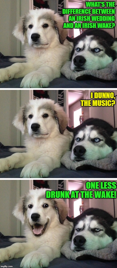 Bad pun dogs | WHAT'S THE DIFFERENCE BETWEEN AN IRISH WEDDING AND AN IRISH WAKE? I DUNNO, THE MUSIC? ONE LESS DRUNK AT THE WAKE! | image tagged in bad pun dogs | made w/ Imgflip meme maker