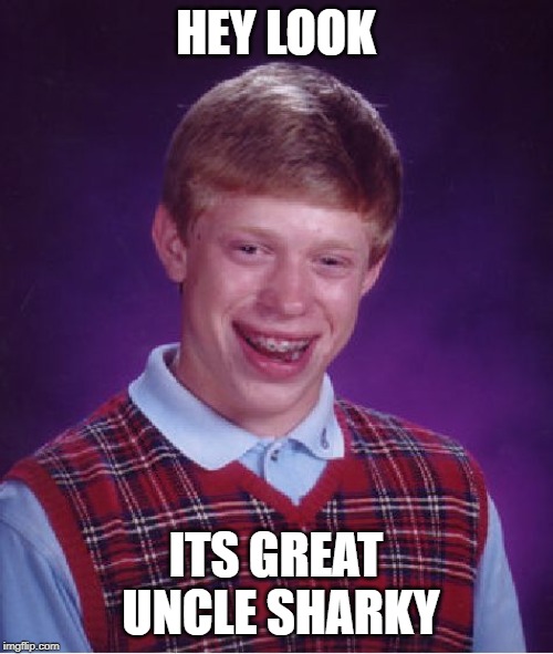 Bad Luck Brian Meme | HEY LOOK ITS GREAT UNCLE SHARKY | image tagged in memes,bad luck brian | made w/ Imgflip meme maker