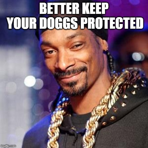 Snoop dogg | BETTER KEEP YOUR DOGGS PROTECTED | image tagged in snoop dogg | made w/ Imgflip meme maker