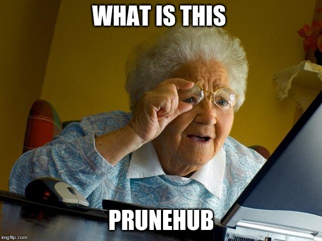 Grandma Finds The Internet | WHAT IS THIS; PRUNEHUB | image tagged in memes,grandma finds the internet | made w/ Imgflip meme maker