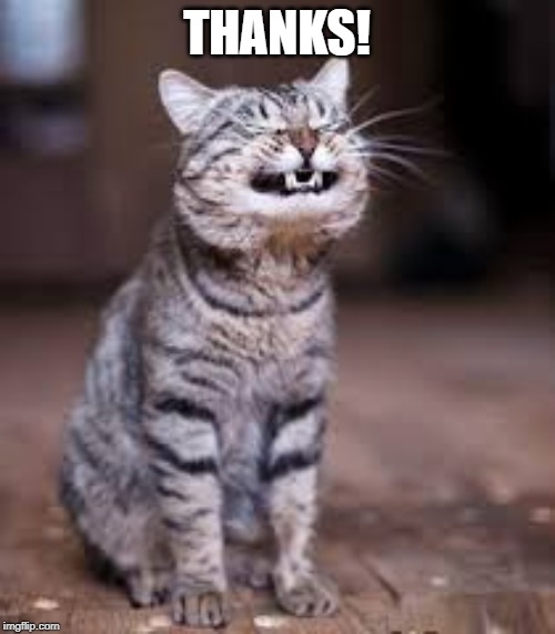 smiling cat | THANKS! | image tagged in smiling cat | made w/ Imgflip meme maker