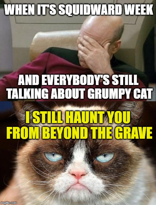 Grumpy Cat says no to Squidward Week! May 19th-25th a Sahara-jj and EGOS event. | WHEN IT'S SQUIDWARD WEEK; AND EVERYBODY'S STILL TALKING ABOUT GRUMPY CAT; I STILL HAUNT YOU FROM BEYOND THE GRAVE | image tagged in memes,captain picard facepalm,grumpy cat not amused,squidward week,sahara-jj,egos | made w/ Imgflip meme maker