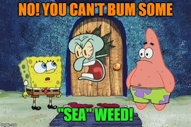Get your own! Squidward Week! May 19th-25th a Sahara-jj and EGOS event. | NO! YOU CAN'T BUM SOME; "SEA" WEED! | image tagged in raging squidward,funny memes,squidward week,weed,sahara-jj,egos | made w/ Imgflip meme maker