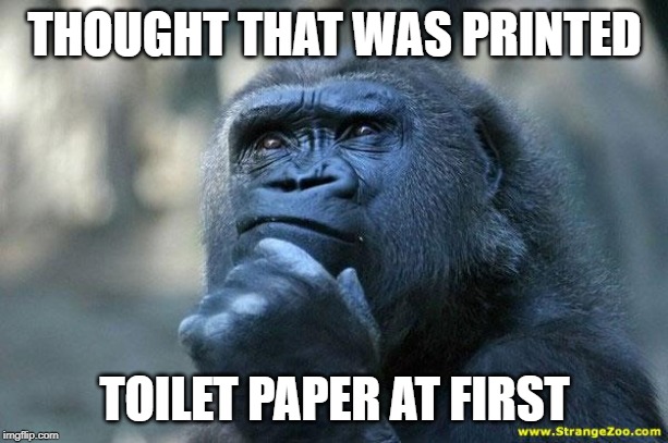 Deep Thoughts | THOUGHT THAT WAS PRINTED TOILET PAPER AT FIRST | image tagged in deep thoughts | made w/ Imgflip meme maker