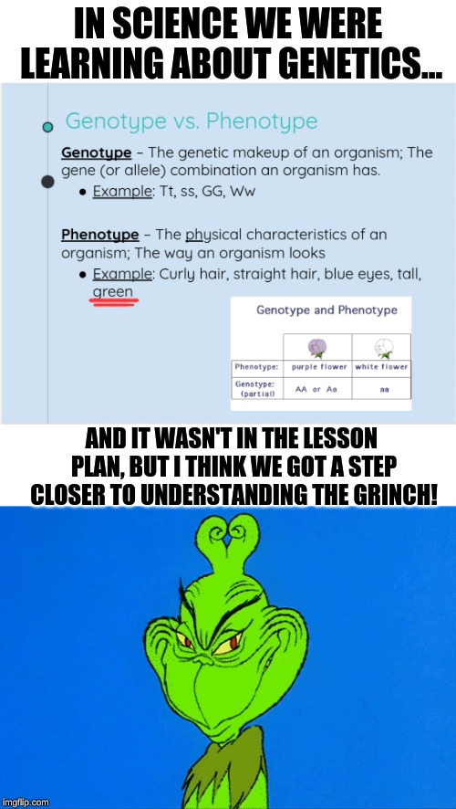 Maybe it was a hidden crossover with Cinematics Class! | IN SCIENCE WE WERE LEARNING ABOUT GENETICS... AND IT WASN'T IN THE LESSON PLAN, BUT I THINK WE GOT A STEP CLOSER TO UNDERSTANDING THE GRINCH! | image tagged in grinch,science,genetics,green,memes,funny | made w/ Imgflip meme maker
