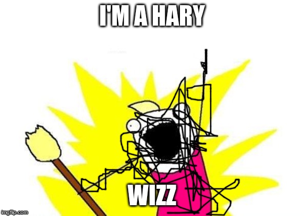 X All The Y | I'M A HARY; WIZZ | image tagged in memes,x all the y | made w/ Imgflip meme maker