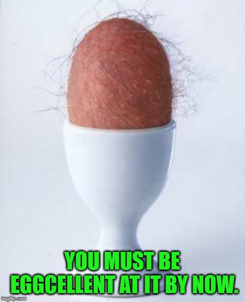 Testicle in a cup | YOU MUST BE EGGCELLENT AT IT BY NOW. | image tagged in testicle in a cup | made w/ Imgflip meme maker