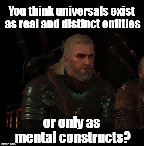 Witcher3 | You think universals exist as real and distinct entities; or only as mental constructs? | image tagged in witcher3 | made w/ Imgflip meme maker