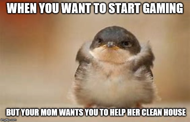 Angry Bird |  WHEN YOU WANT TO START GAMING; BUT YOUR MOM WANTS YOU TO HELP HER CLEAN HOUSE | image tagged in angry bird | made w/ Imgflip meme maker