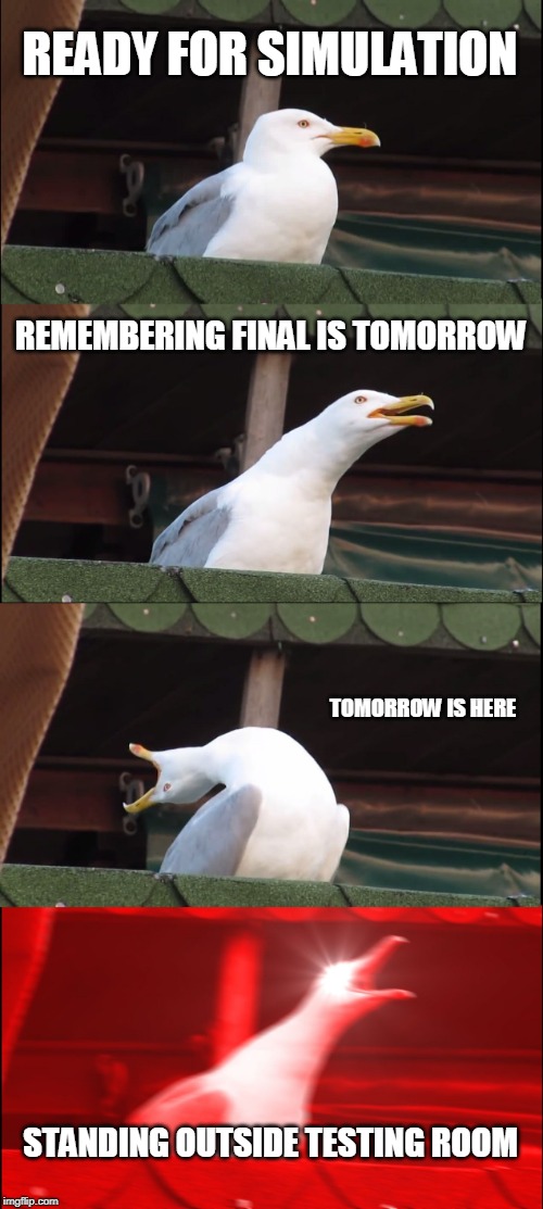 Inhaling Seagull Meme | READY FOR SIMULATION; REMEMBERING FINAL IS TOMORROW; TOMORROW IS HERE; STANDING OUTSIDE TESTING ROOM | image tagged in memes,inhaling seagull | made w/ Imgflip meme maker