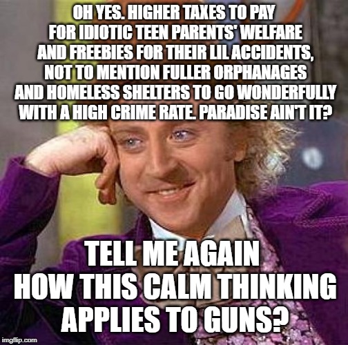 Creepy Condescending Wonka Meme | OH YES. HIGHER TAXES TO PAY FOR IDIOTIC TEEN PARENTS' WELFARE AND FREEBIES FOR THEIR LIL ACCIDENTS, NOT TO MENTION FULLER ORPHANAGES AND HOM | image tagged in memes,creepy condescending wonka | made w/ Imgflip meme maker