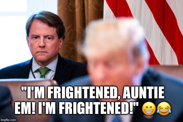 Don Mcgahn | "I'M FRIGHTENED, AUNTIE EM! I'M FRIGHTENED!" 😁😂 | image tagged in don mcgahn,former white house counsel,donald trump,obstruction of justice | made w/ Imgflip meme maker