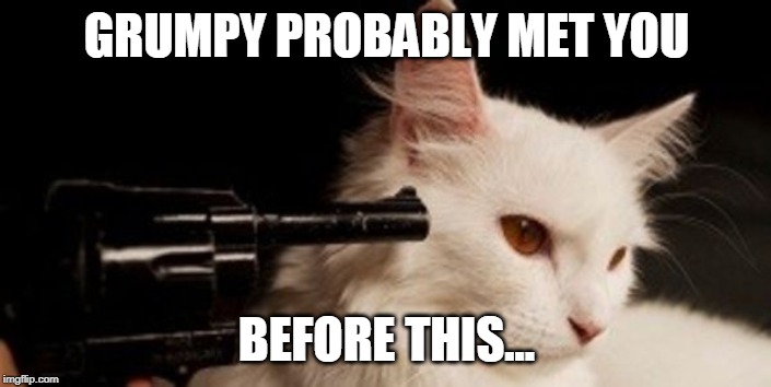 Dead Cat | GRUMPY PROBABLY MET YOU BEFORE THIS... | image tagged in dead cat | made w/ Imgflip meme maker