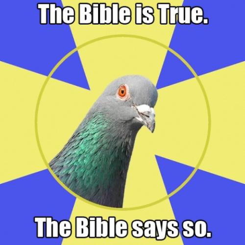 image tagged in memes,religion pigeon